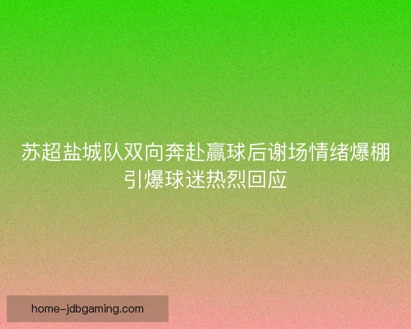苏超盐城队双向奔赴赢球后谢场情绪爆棚引爆球迷热烈回应