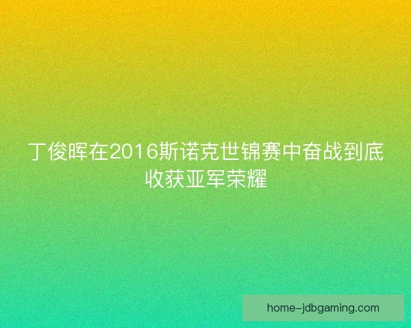 丁俊晖在2016斯诺克世锦赛中奋战到底收获亚军荣耀
